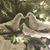 Kristal A.'s profile image