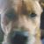 Holly Briggs's profile image