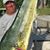 Bob Carlson's profile image
