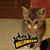 Beth Chiplis Anderson's profile image