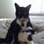 Nancy Steinemann's profile image