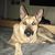 Denise Marie's profile image