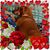 Melissa Dubiel's profile image