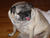 Jessica L.'s profile image