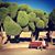 Maria Fernanda Reategui's profile image