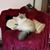 Marlene Pawlush Daniels's profile image