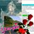 Leticia Corrales's profile image
