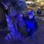Kathleen Coupland's profile image
