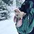 Vernon Habibi's profile image