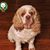 Janet Hall's profile image