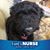 Suzy Lewis McClintock's profile image