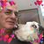 David Bruce Feldman's profile image