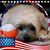 Jennifer Evans Biddulph's profile image