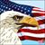 Denise Carter Thompson's profile image