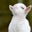 Lauren Bastian's profile image