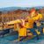 Kassi Kosydar Sedgwick's profile image