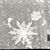 Cassy Smith Kinkin's profile image