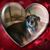 Kitty Gilhooly's profile image