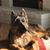 Pamela J. Vincent's profile image