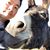 Dennie Chan's profile image