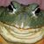 Mark Sakaarson's profile image