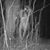 Penny Hill Groves's profile image