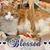 Jen Glensky's profile image
