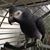 Becki Jackson's profile image