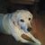 Penny Copeland-corbeil's profile image