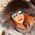 Sandra Wiesmann's profile image