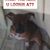 Gail Kendall's profile image