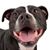 Lori Sherrer's profile image