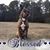Misty Cochran's profile image
