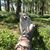 Jeff Rittmer's profile image