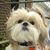 Cindy Carlisle's profile image