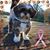 Barb Brugliera-Marshall's profile image