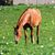 Amanda Neal's profile image