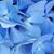 Peggy Ann Fink's profile image