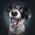 Maggie O'Brien Dryden's profile image