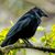 Dina El-Mogazi's profile image