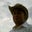R Scott Leonard's profile image