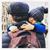 Maxi Aguirre Fernandez's profile image