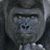 Kerry Oliver's profile image