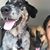 Shira Garfinkel's profile image