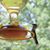 Mary Nida Smith's profile image