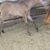 Rancho El Diamante's profile image