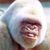 Gary Koteles's profile image