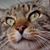 Amanda Walls's profile image