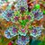 Cholena Buchanan's profile image