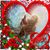 Tonette R Meyer's profile image